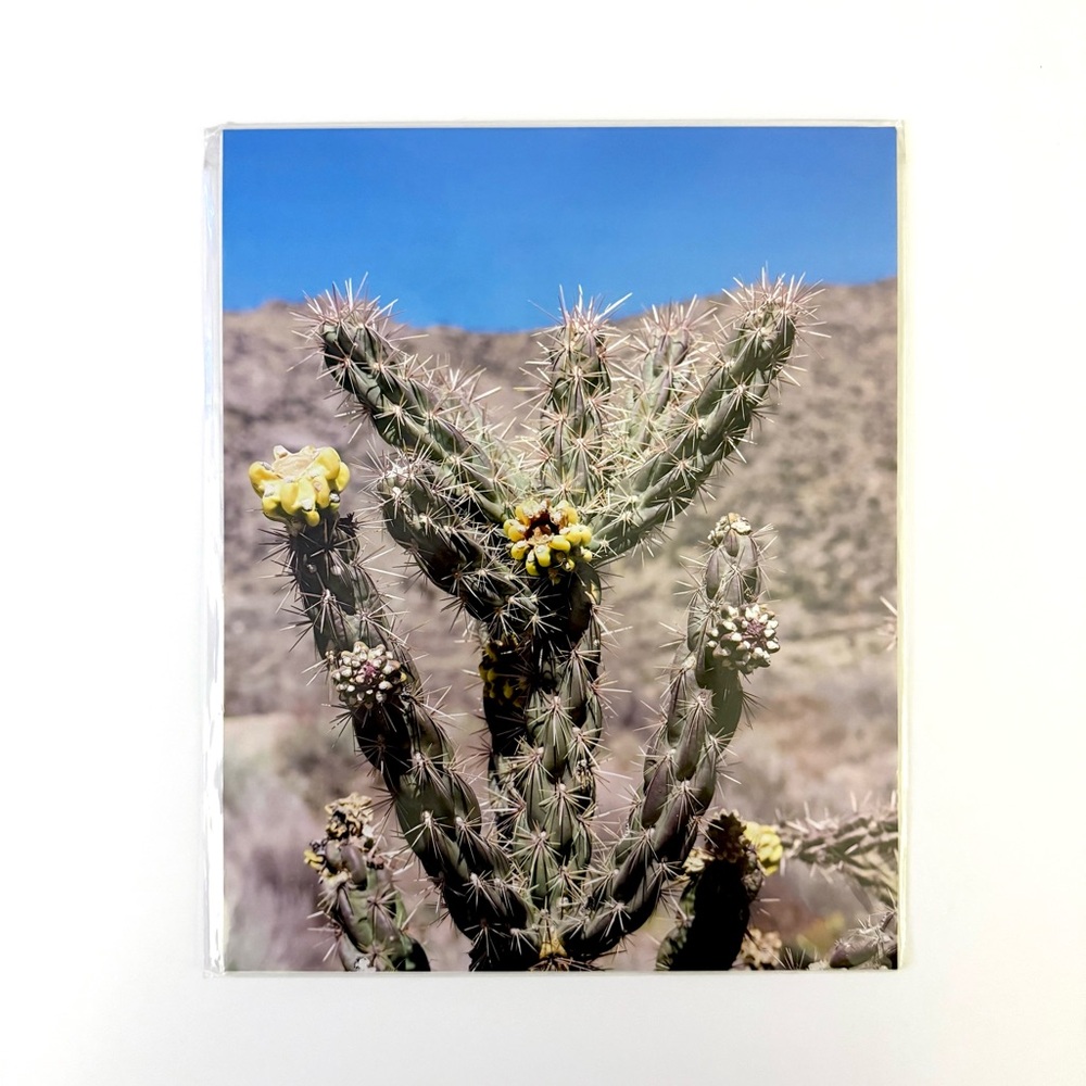 8x10 Cactus Print with Yellow Blooms